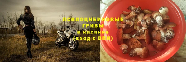 экстази Михайлов