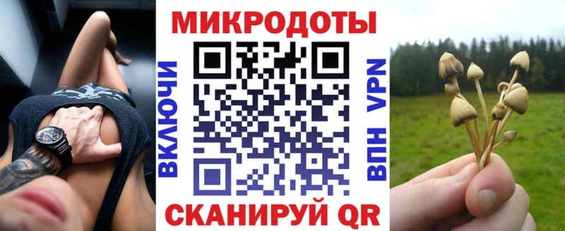 Галлюциногенные грибы Cubensis  Купить  Цоци-Юрт 