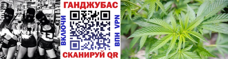 Конопля индика  Купить  Цоци-Юрт 